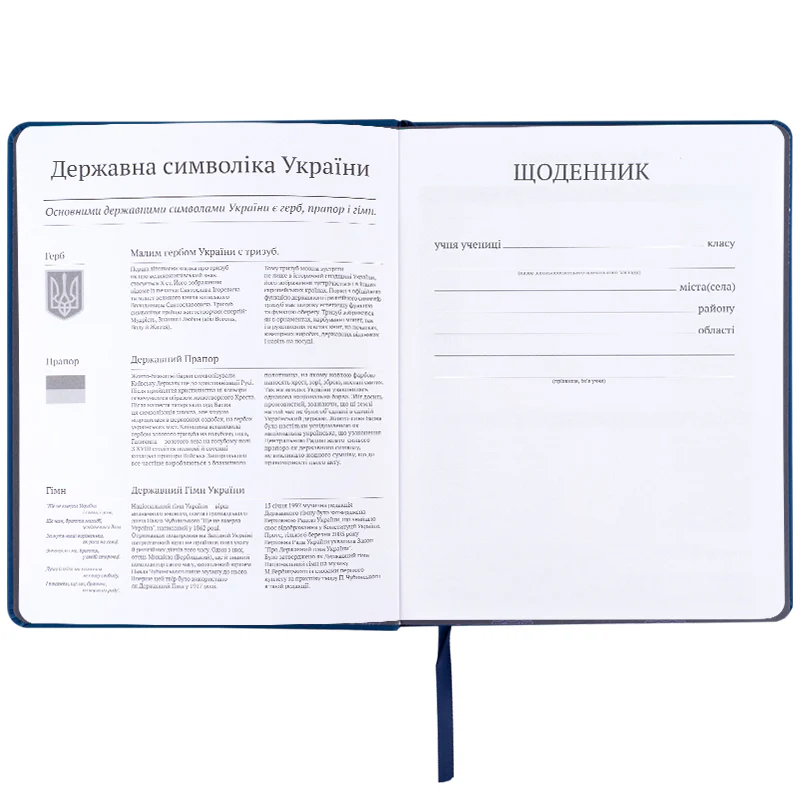 Щоденник шкільний, тверда обкл. PU, BC, BC25-264 3