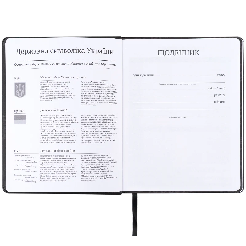 Щоденник шкільний, тверда обкл. PU, DC, DC25-264 3