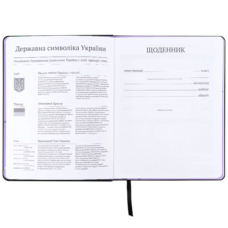 Щоденник шкільний, тверда обкл. PU, HK-2, HK25-264-2 3