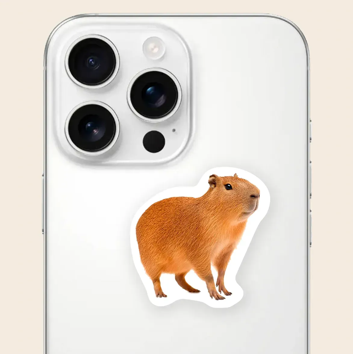 Стікерпак 3D А6 "Animals" Cobart 4