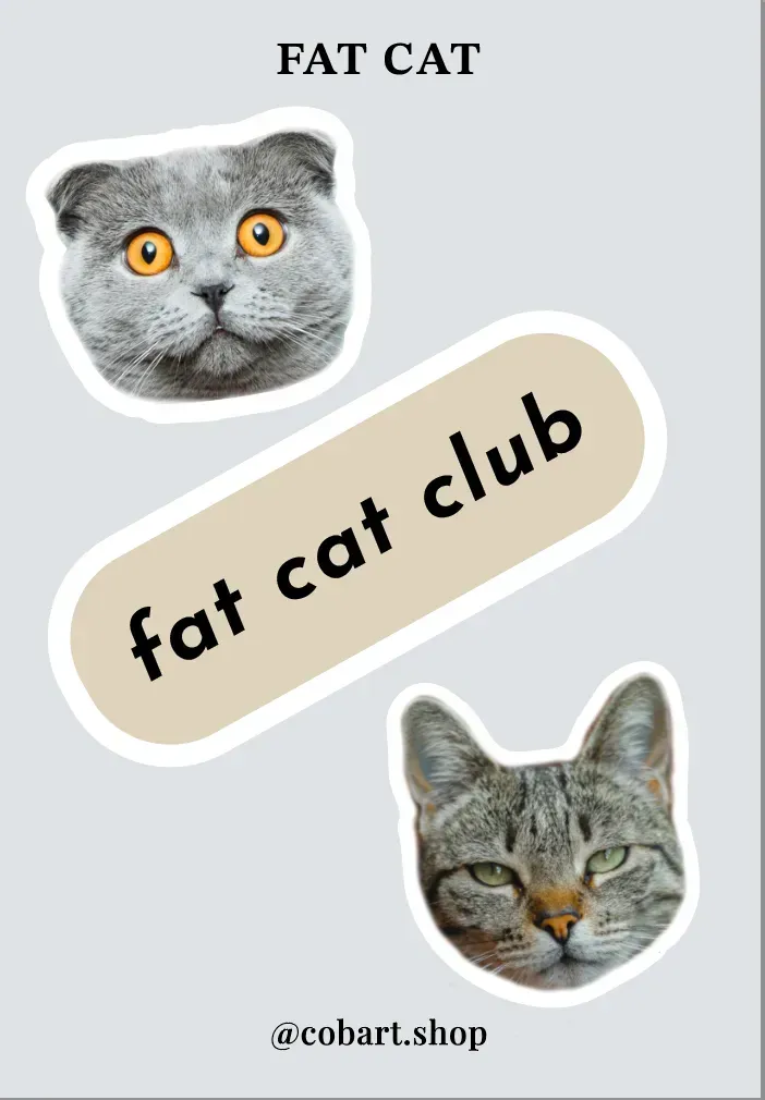 Стікерпак 3D "Cat Fat" Cobart 1