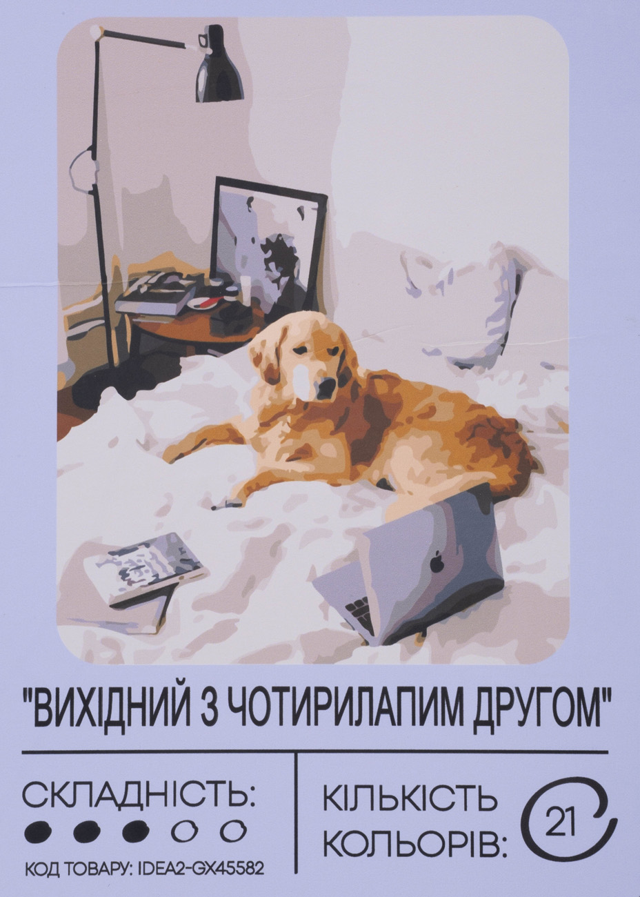Картина по номерам "Выходной с четырехлапым другом" 40*50 см, IDEA2-GX45582, ТМ "99IDEAS"
