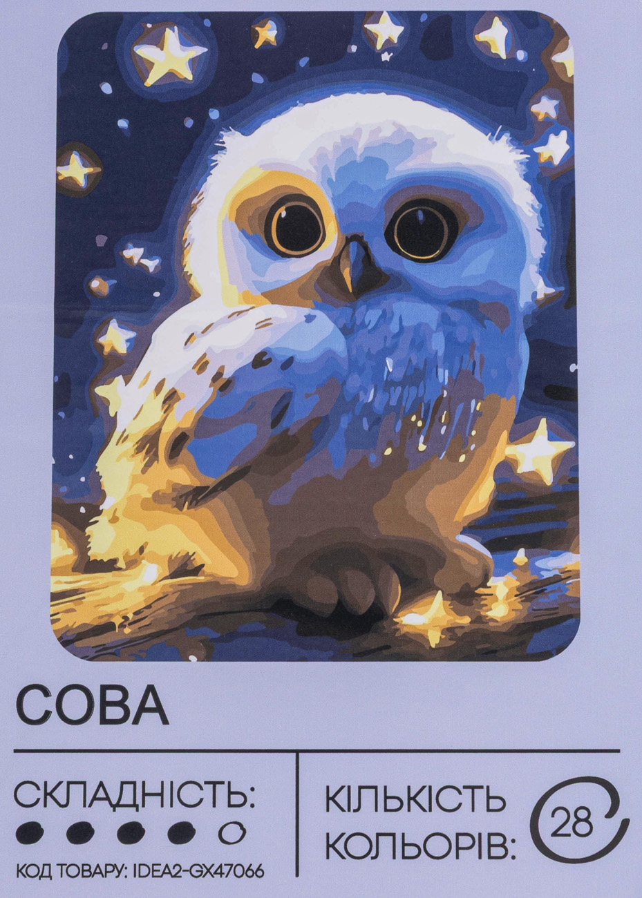 Набір для розпису по номерах "Сова" 40*50 см, IDEA2-GX47066, ТМ "99IDEAS"