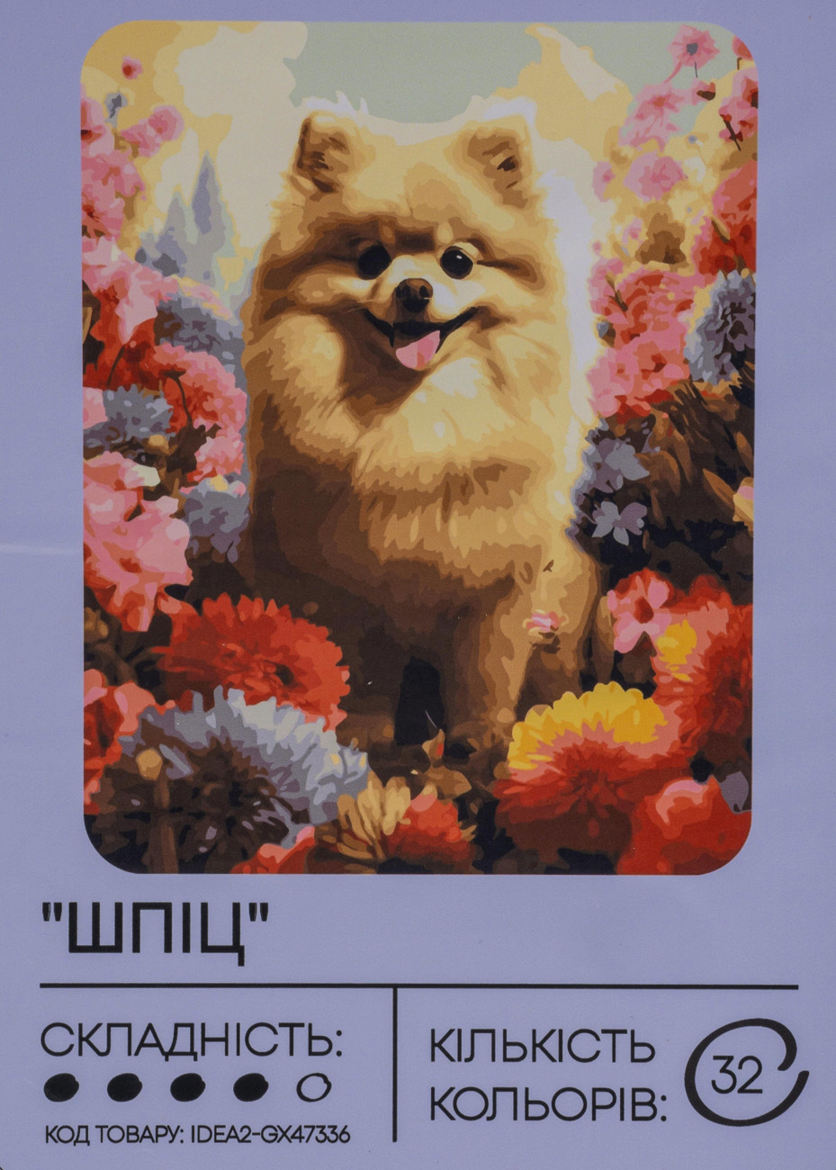 Набір для розпису по номерах "Шпіц" 40*50 см, IDEA2-GX47336, ТМ "99IDEAS"
