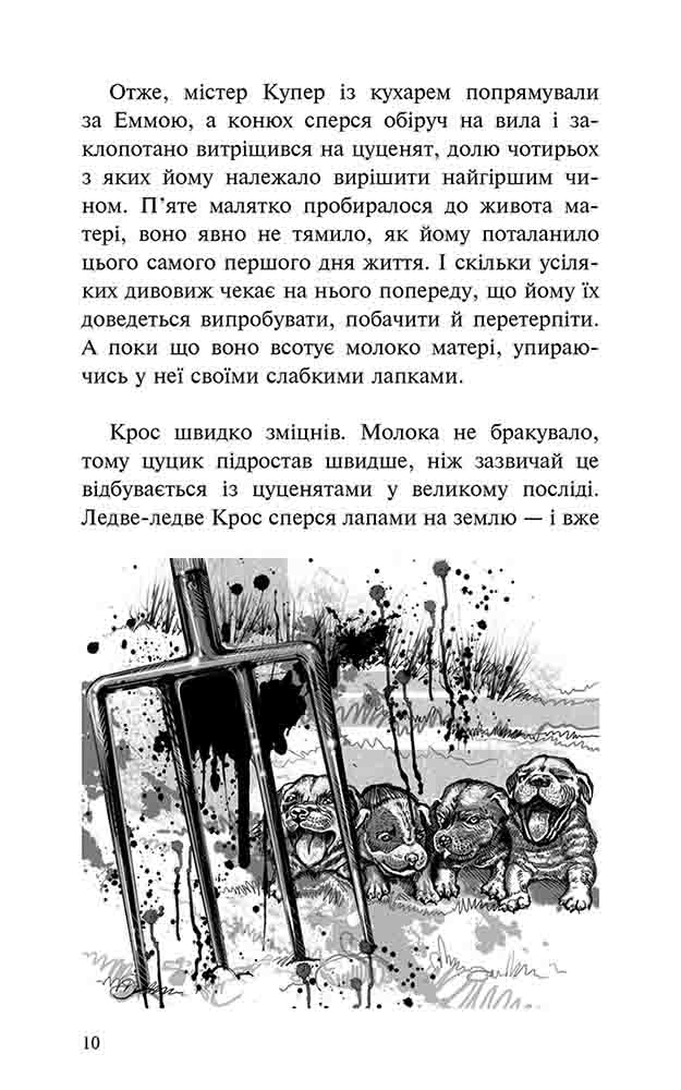Книга "Пригоди містера Кроса. Неймовірна подорож собаки-мандрівника" (у) (9856) 11