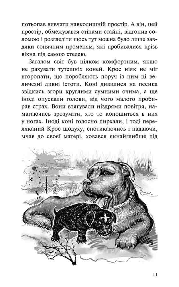 Книга "Пригоди містера Кроса. Неймовірна подорож собаки-мандрівника" (у) (9856) 12