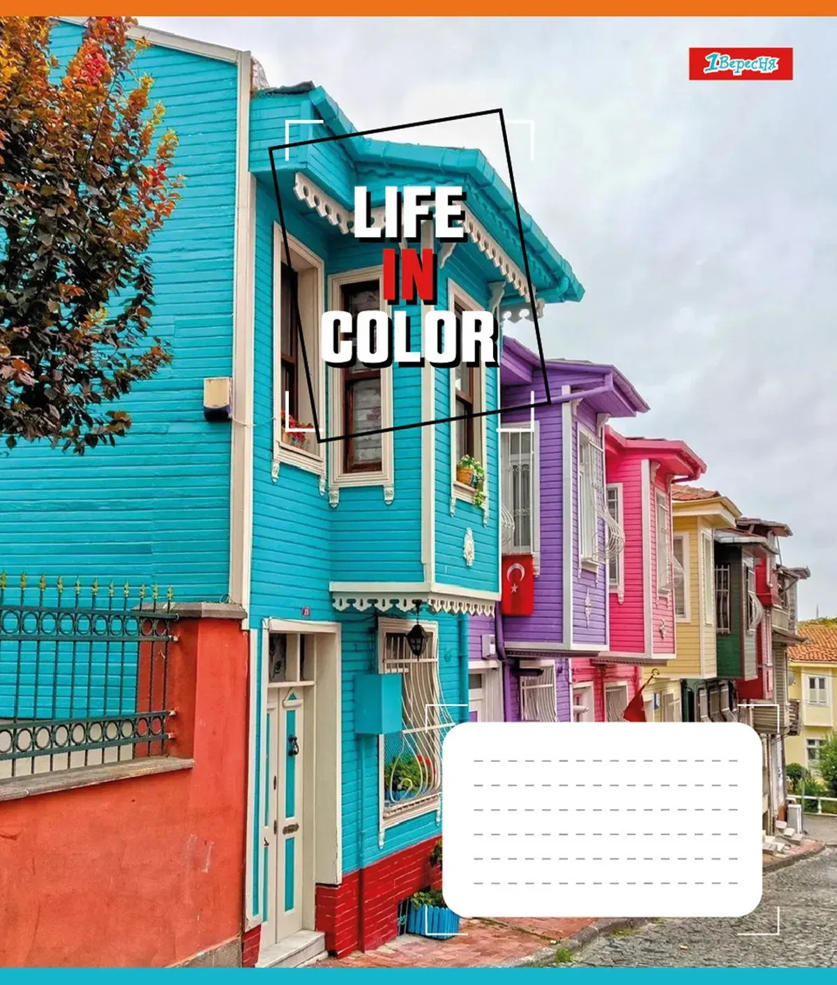 Зошит 24 кл. 1В Life in colors, 767279 2