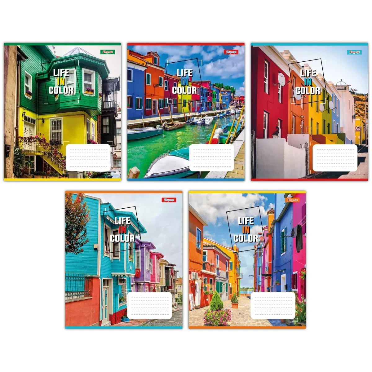 Зошит 24 кл. 1В Life in colors, 767279