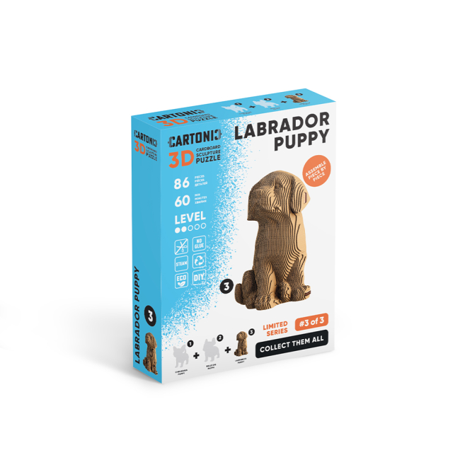 Картонный конструктор "Cartonic 3D Puzzle LABRADOR PUPPY", CARTMNLABRA 3