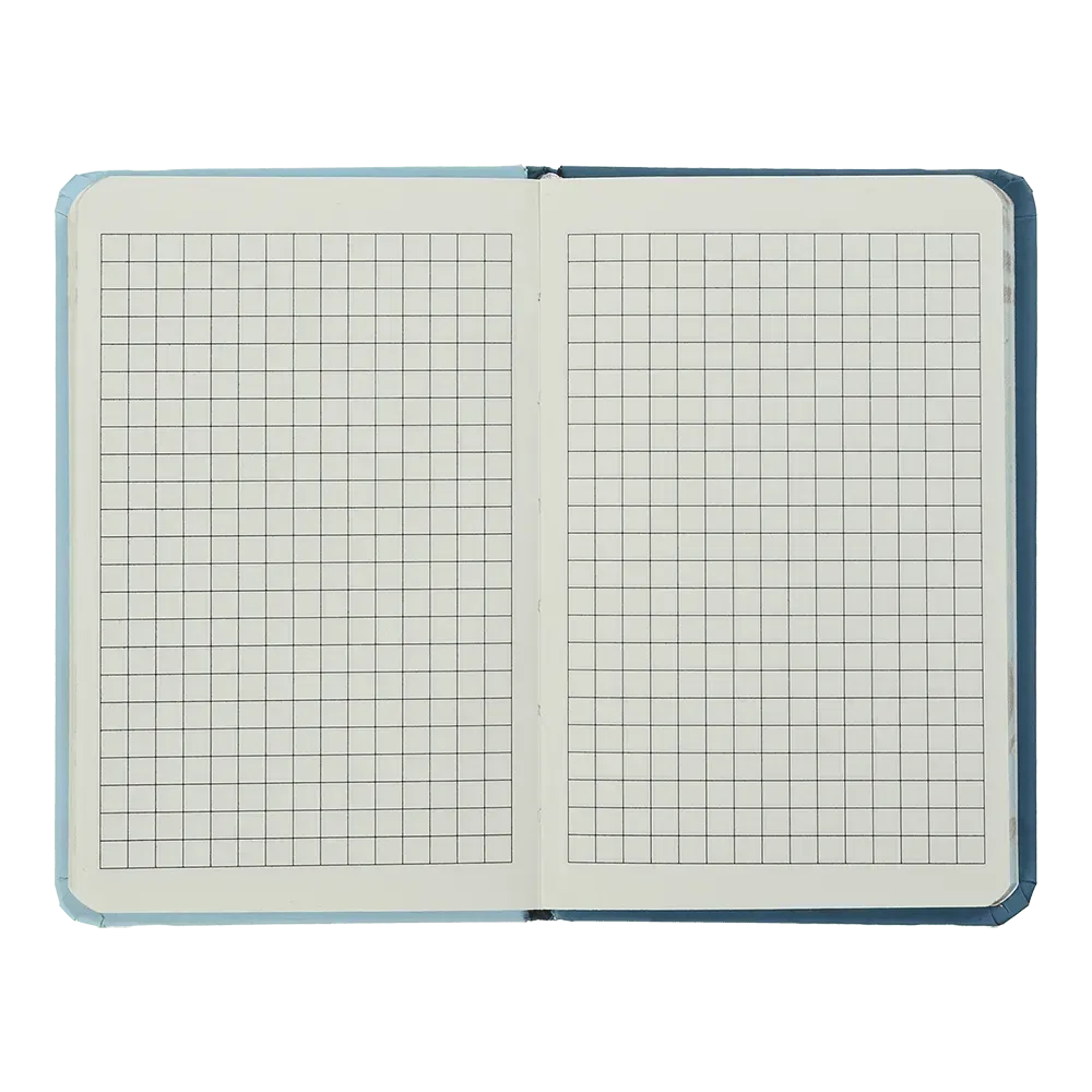 Книжка записна Gradient на гумці, А6, 80 арк., кліт., офсет, рожевий, BM.256103-10 2