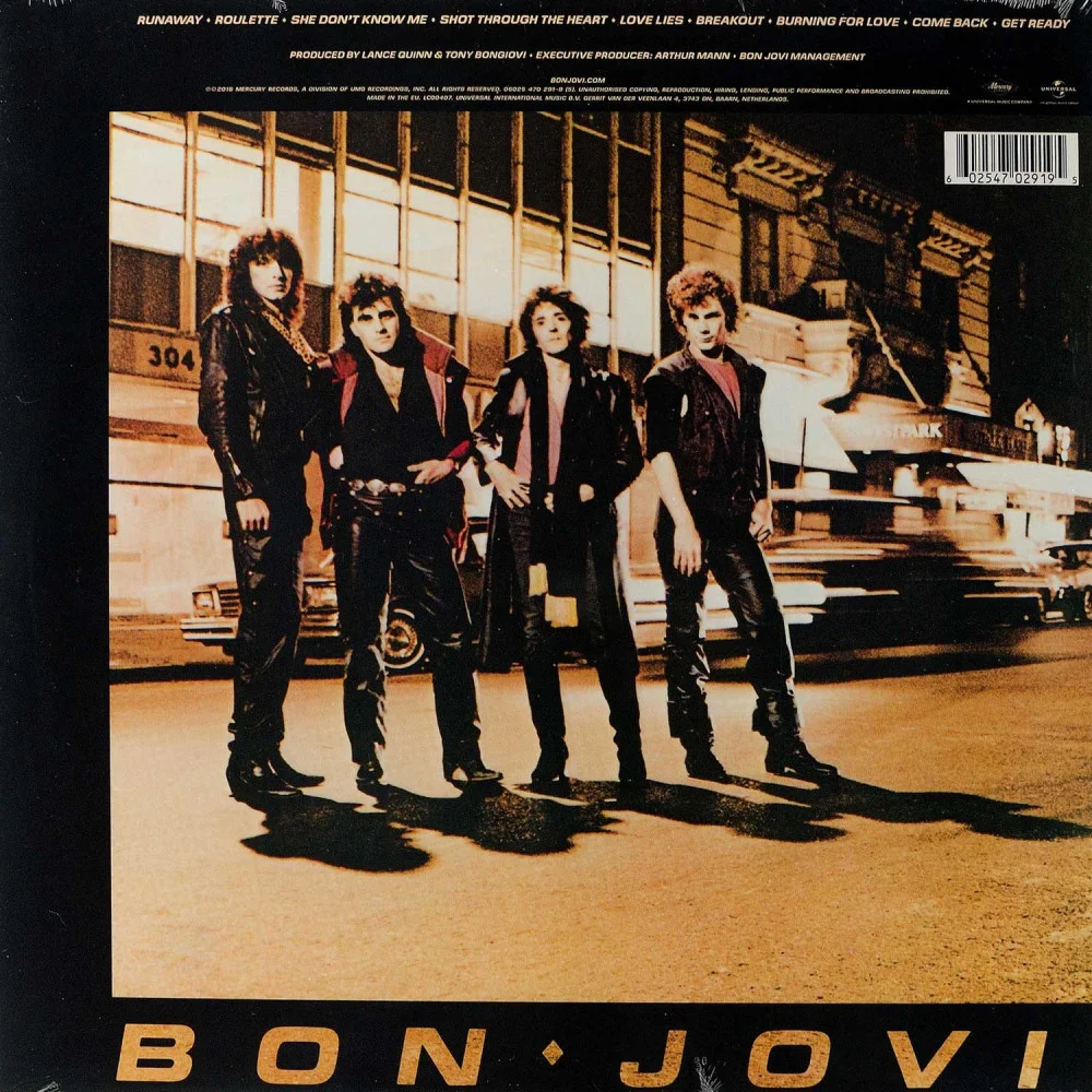 Пластинка Bon Jovi - Bon Jovi [LP] 2