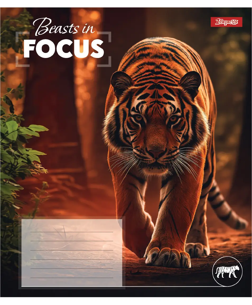 Тетрадь 96 кл. 1В "Beasts in Focus", 768064 1