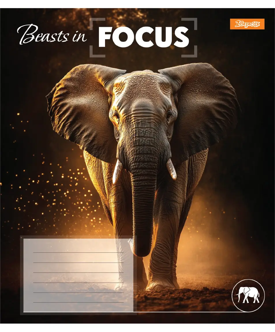 Тетрадь 96 кл. 1В "Beasts in Focus", 768064 4
