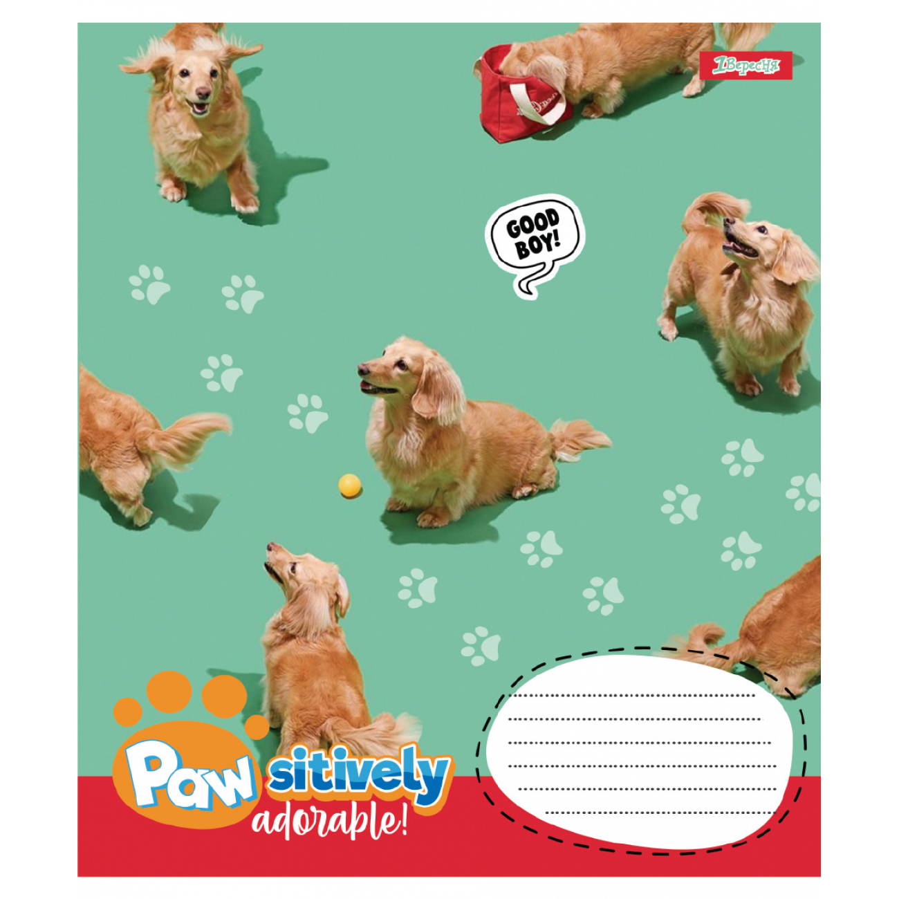 Тетрадь 24 кл. 1B "Pawsitively", 768240 2