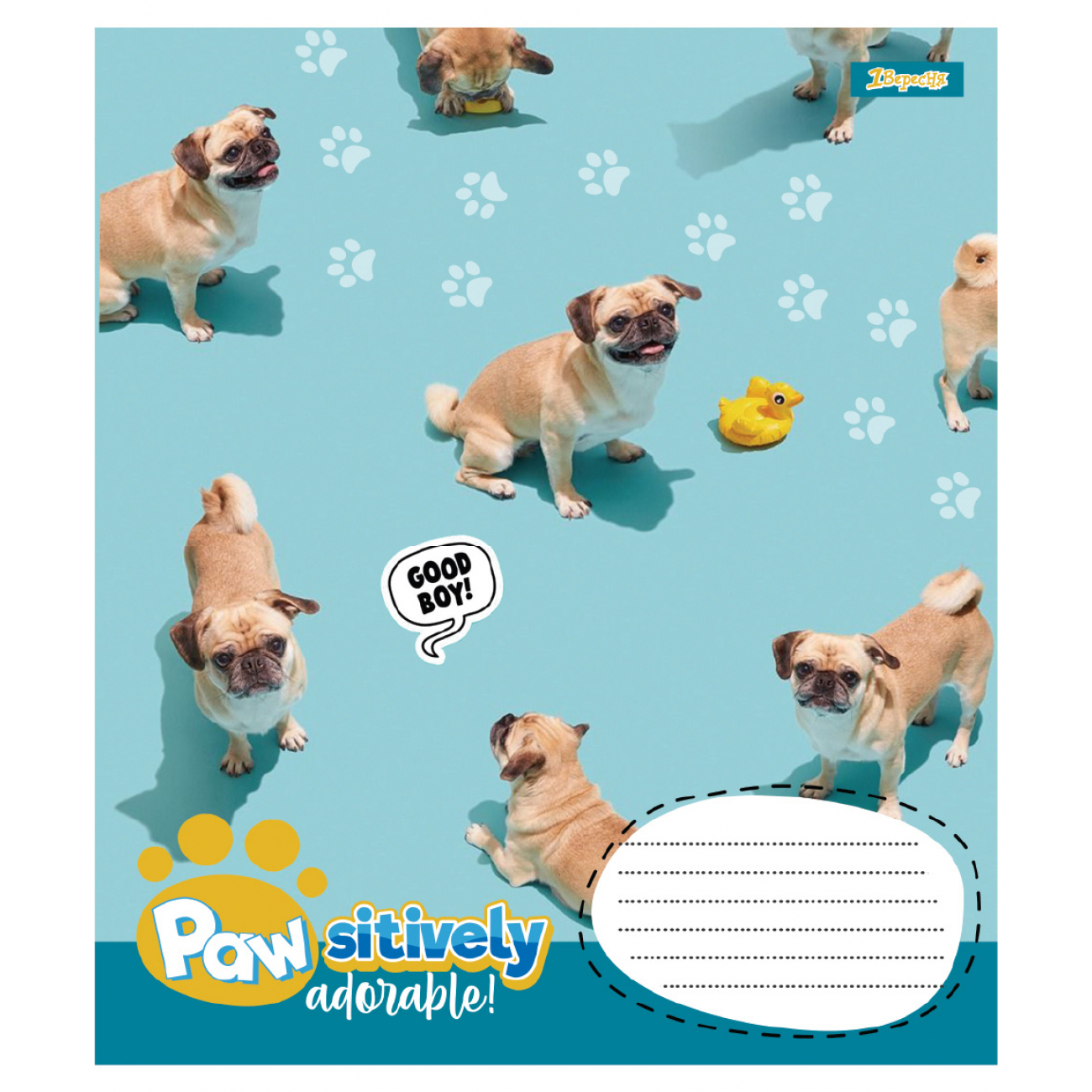 Тетрадь 24 кл. 1B "Pawsitively", 768240 3