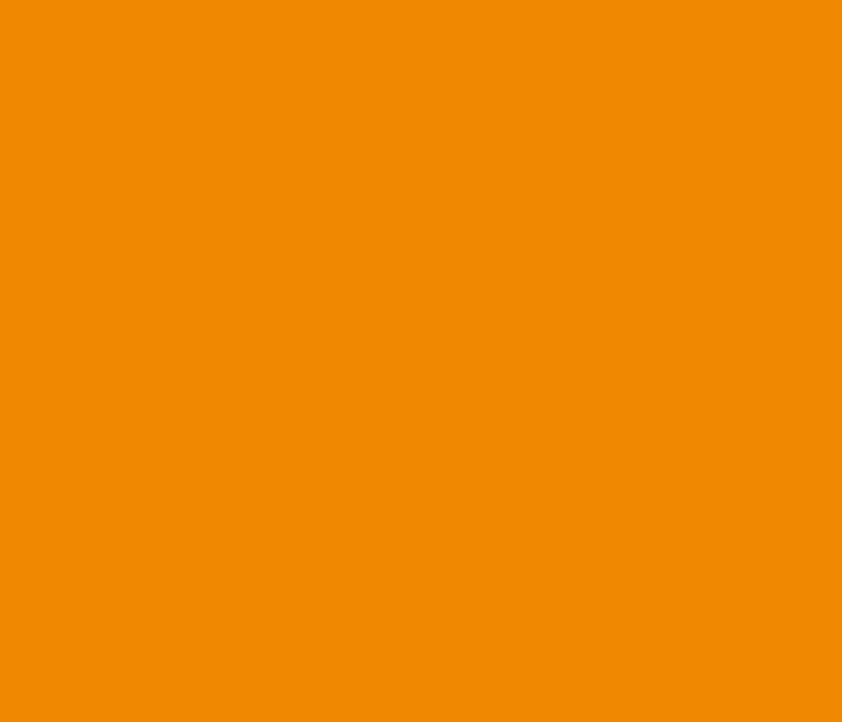 Аэрозольная краска MTN PRO Erasable Chalk Paint C-2004 400 мл Orange, EX014PC2004 1