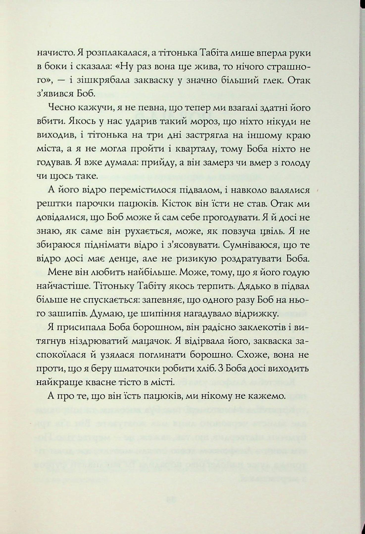 Книга "Т. Кінгфішер. Чаклунський довідник з оборонного пекарства" (у) (7405) 10