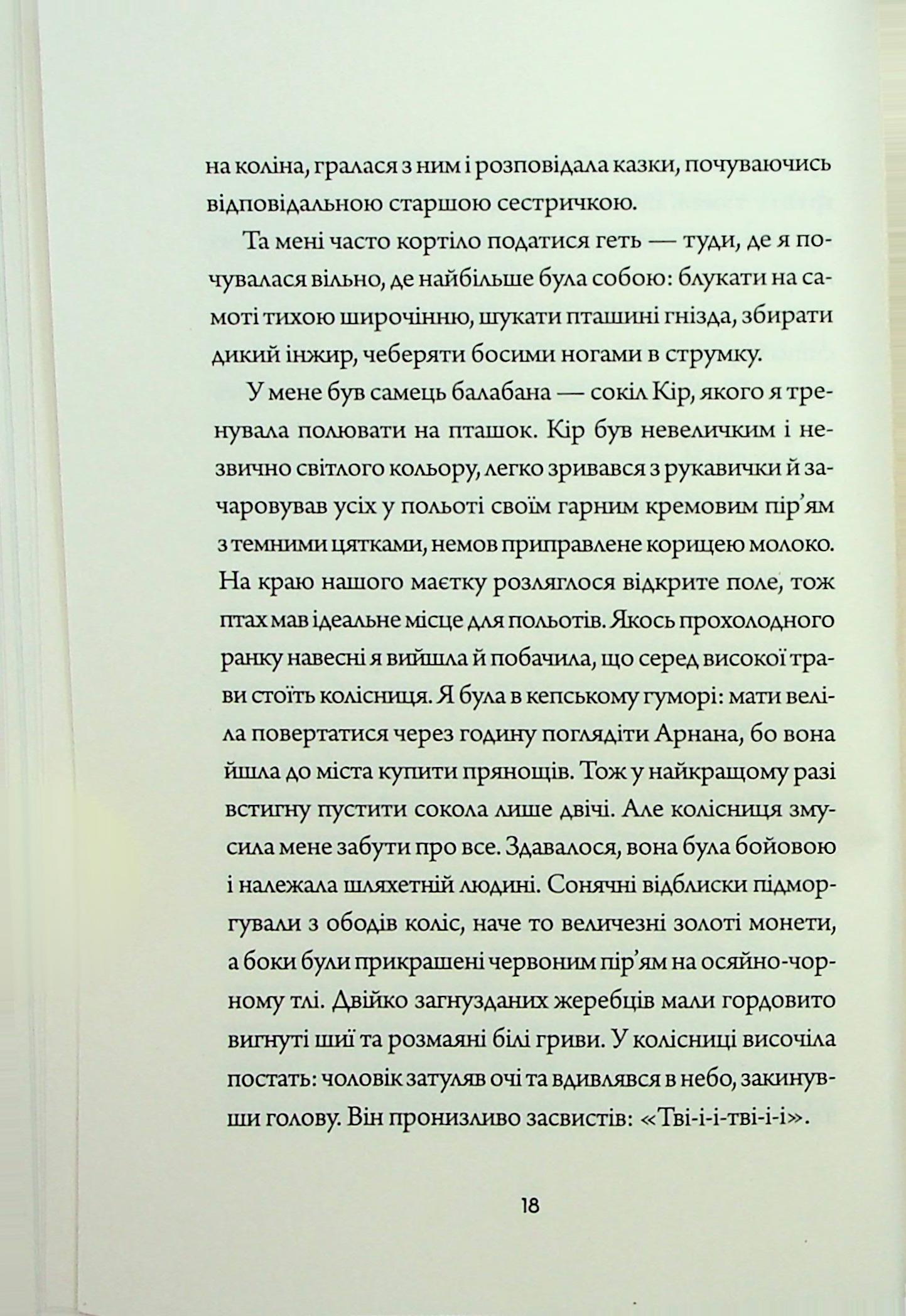 Книга "Фонда Лі. Невпокорене небо" (у) (7627) 12