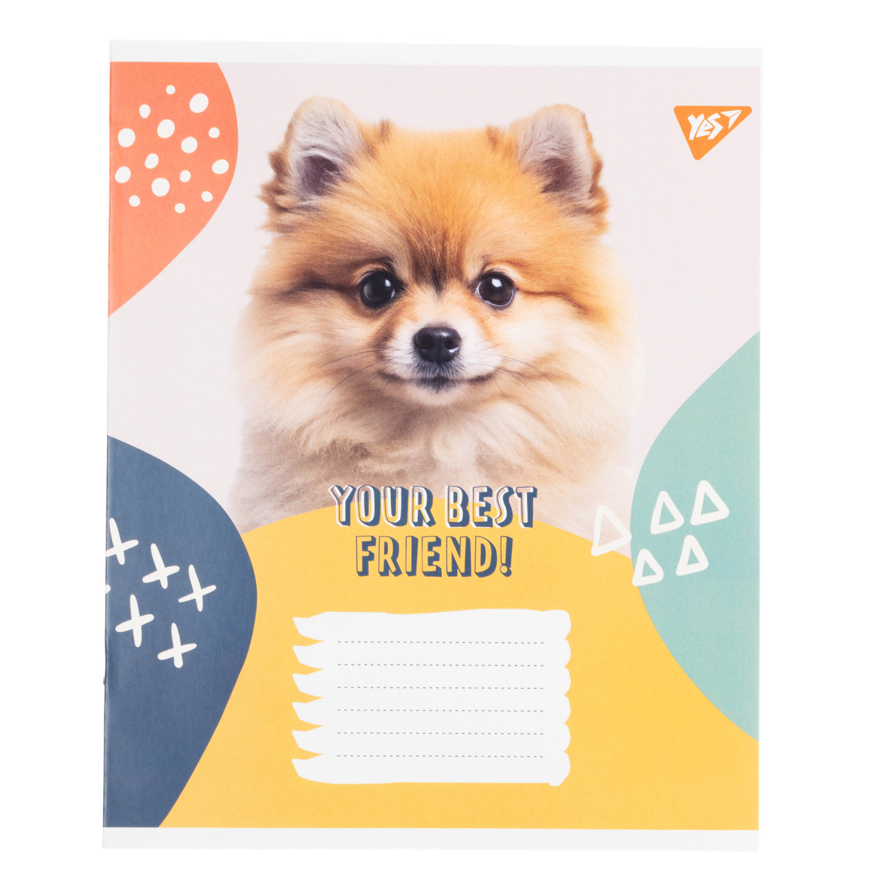Зошит 12 кл. Yes "Best Friend" SPECIAL, 768256 9
