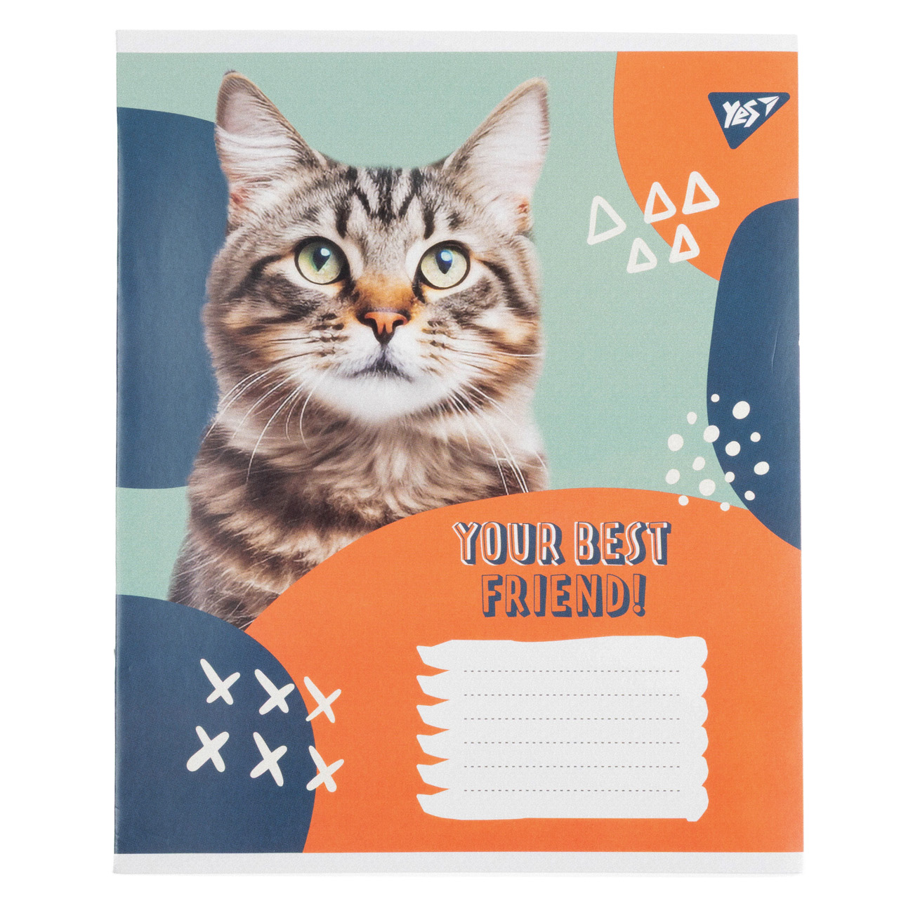 Зошит 12 кл. Yes "Best Friend" SPECIAL, 768256 7