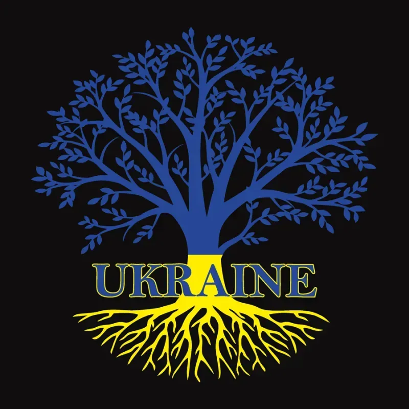 Полотно на картоні з контуром, Патріотичні "Ukraine", 30*30, бавовна, акрил, Rosa Start 1