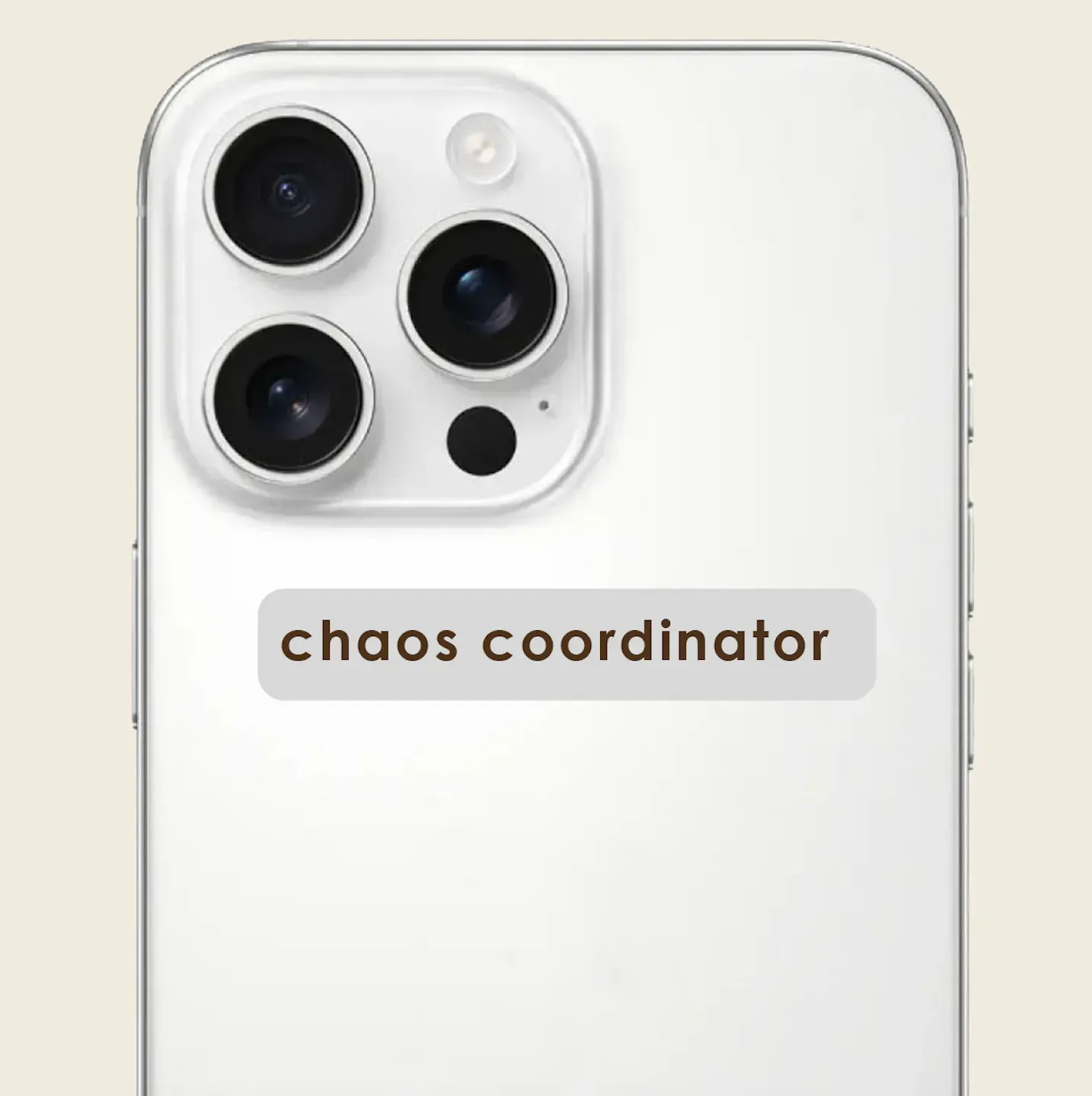 Стікер 3D "Chaos coordinator" Cobart