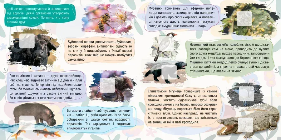 Книга "Энциклопедии: Насекомые 100 интересностей" (у) (2676) 2