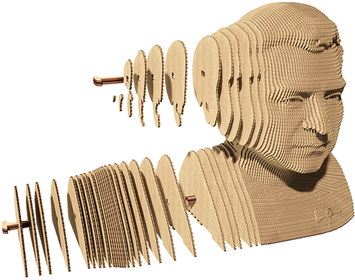Картонный конструктор "Cartonic 3D Puzzle ZEL", CARTMZEL 3