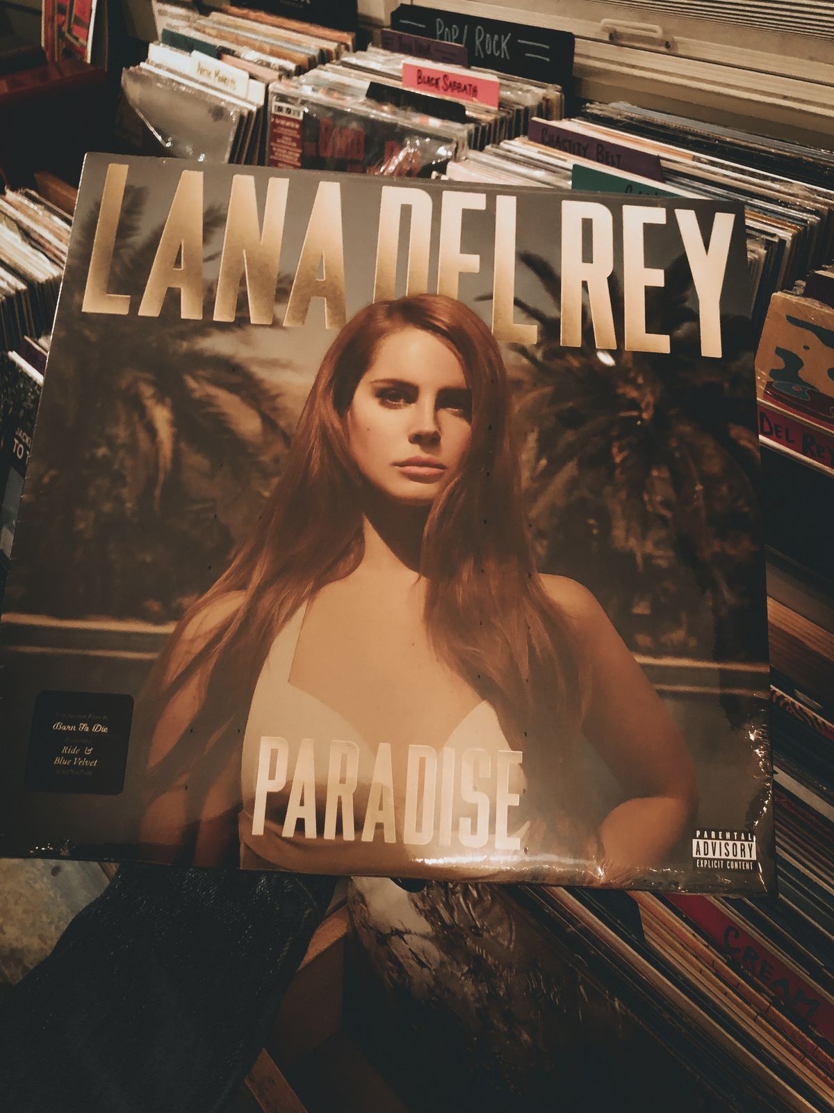 Пластинка Lana Del Rey - Born To Die (The Paradise Edition) [LP] 4