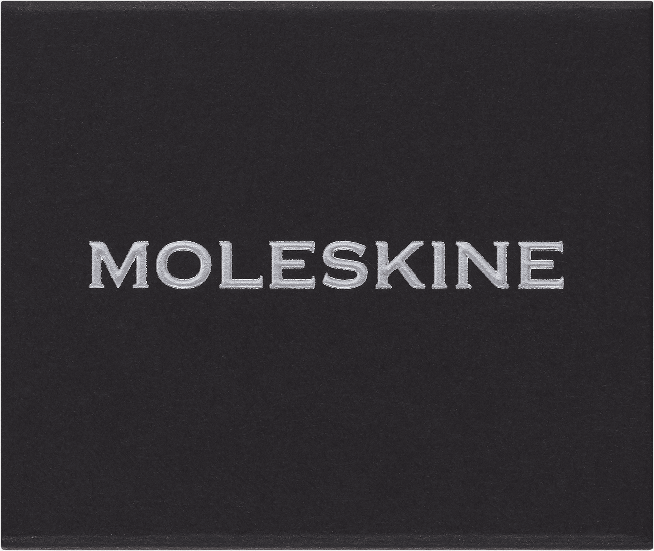 Клипса Moleskine - Серебряная звезда, PINSTARSILV 1