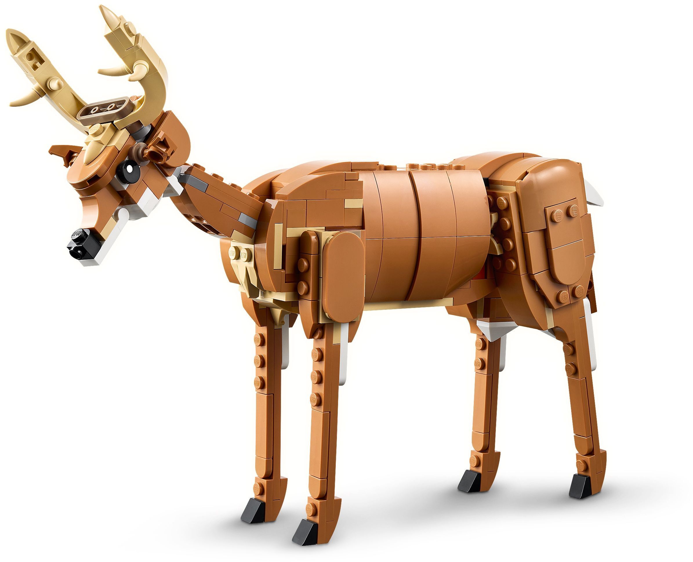 Конструктор Lego Creator "Прекрасный конь", 31166 4