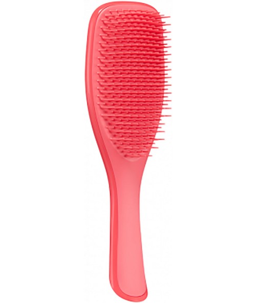 Щітка для волосся Tangle Teezer The Wet Detangler Pink Punch