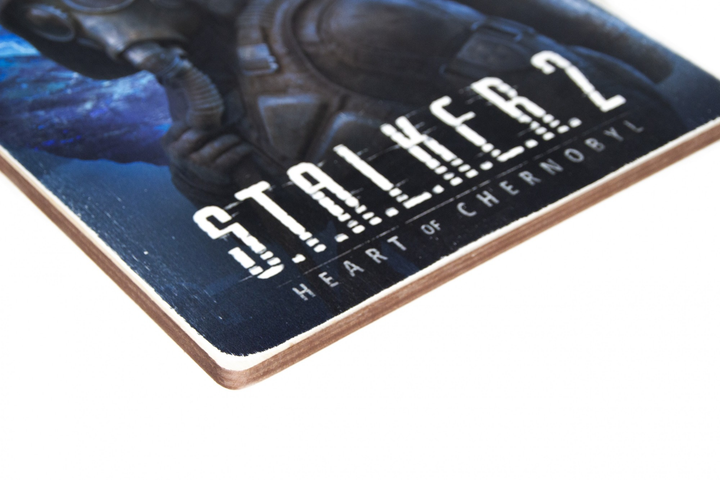 Постер S.T.A.L.K.E.R. 2 на синем фоне. Вертикальный, pvw0082 3
