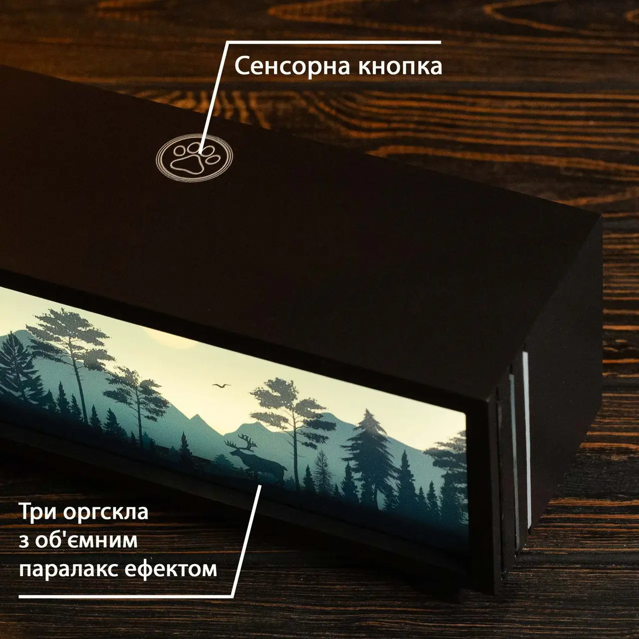 Ночник-панорама "Ночной лес", черный (LED, Аккумулятор, USB Type-C), npa1005 3