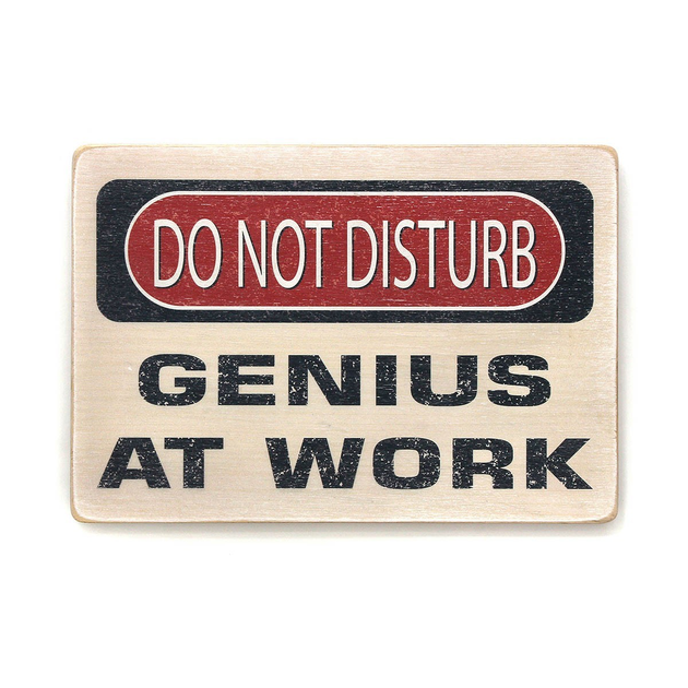 Постер Do Not Disturb. Genius на работе, pvh0117