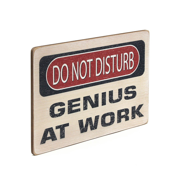 Постер Do Not Disturb. Genius на работе, pvh0117 1