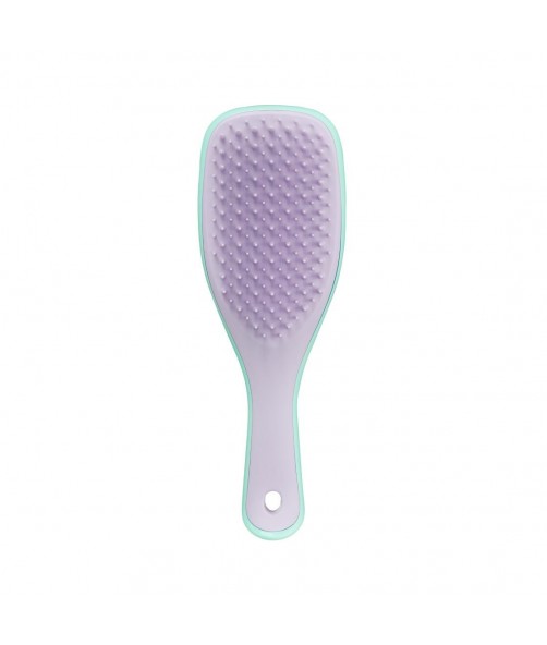 Щітка для волосся Tangle Teezer The Wet Detangler Mini Wisteria Leaf 1
