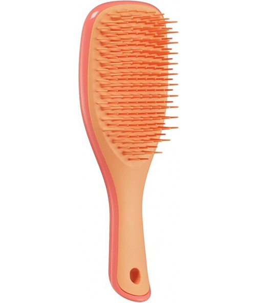 Щітка для волосся Tangle Teezer The Ultimate Detangler Mini Salmon Pink & Apricot