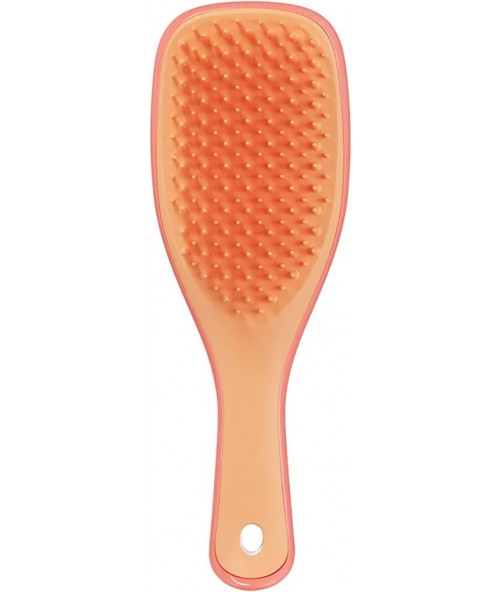 Щітка для волосся Tangle Teezer The Ultimate Detangler Mini Salmon Pink & Apricot 1