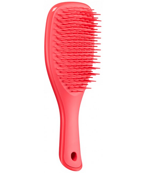 Щітка для волосся Tangle Teezer The Wet Detangler Mini Pink Punch
