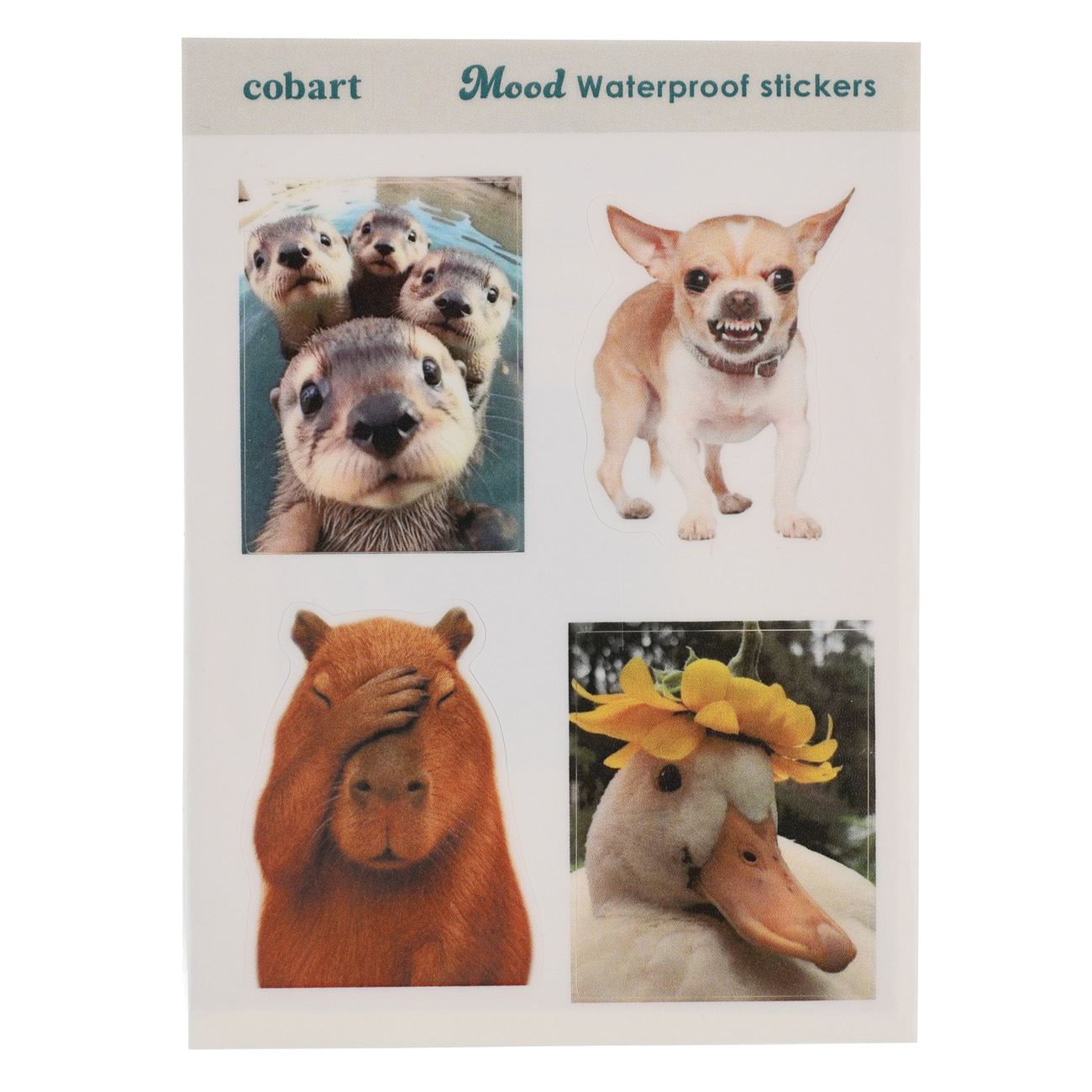 Стикерпак 2D А7 "Mood" Cobart