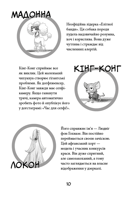 Книга "Стронк К. Уличная банда. Кн.1: Лапа лапу моет" (у) (4548) 6