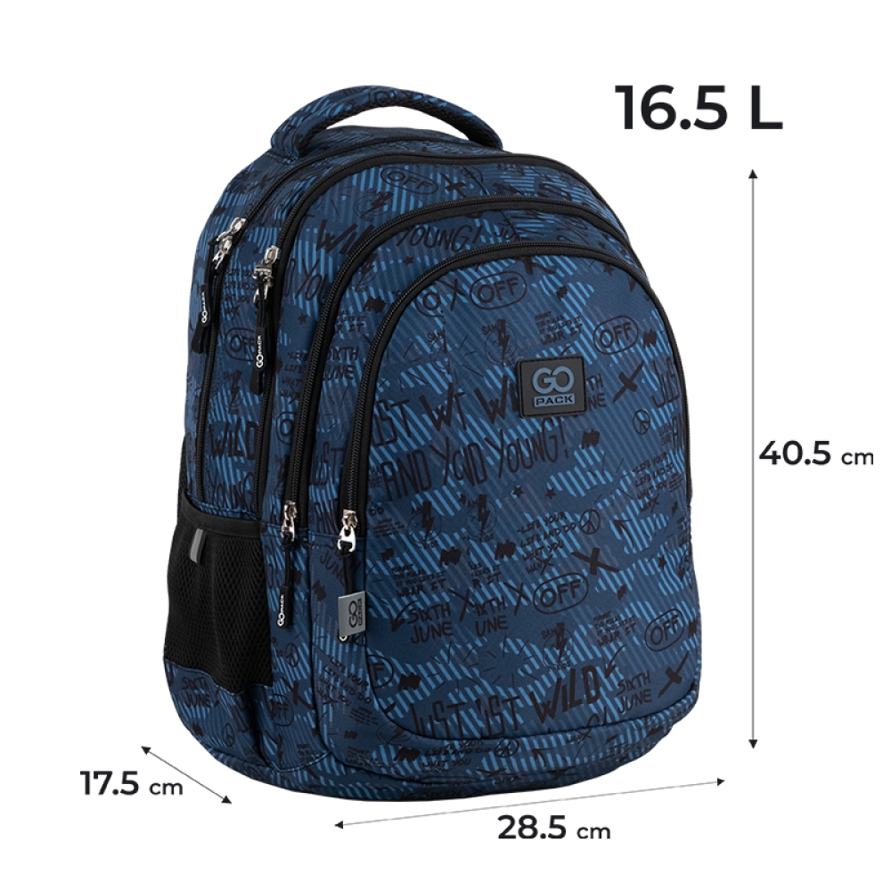 Рюкзак GoPack Teens 162M-5, GO25-162M-5 1