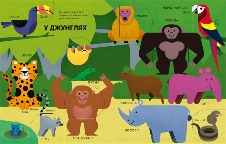 Книга "Моя первая книга с окошками. Животные. Макрей Э." (в) (4011) 2