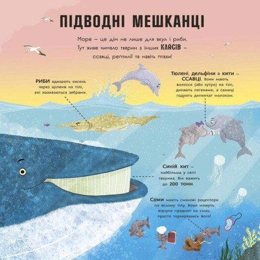 Книга "Супернаука для дошкольников: Акулы любят науку. Фрост А." (в) (3458) 5