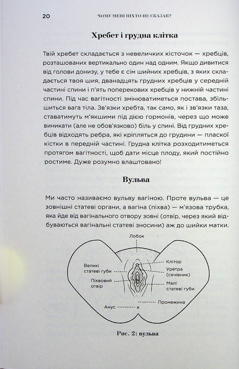 Книга "Емма Броквелл. Чому мені ніхто не сказав?" (у) (2222) 19