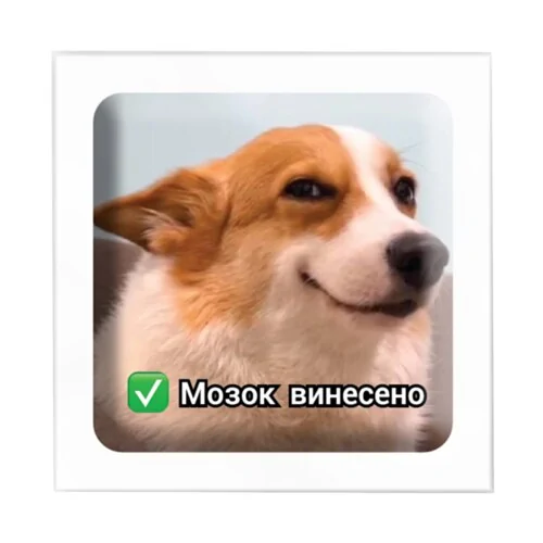 Стикеры 3D "Мозг вынесен"