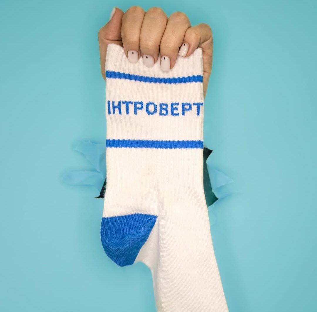 Шкарпетки "Інтроверт" 36-40, DHS092 2