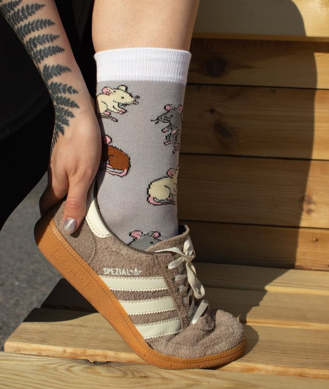 Шкарпетки "Пацючки" 41-45, DHS099 3
