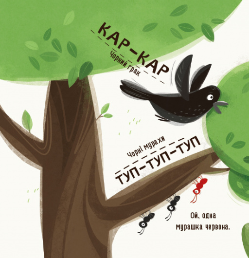 Книга "Галевская-Кустра М. Бодьо изучает цвета и звуки" (у) (2063) 4